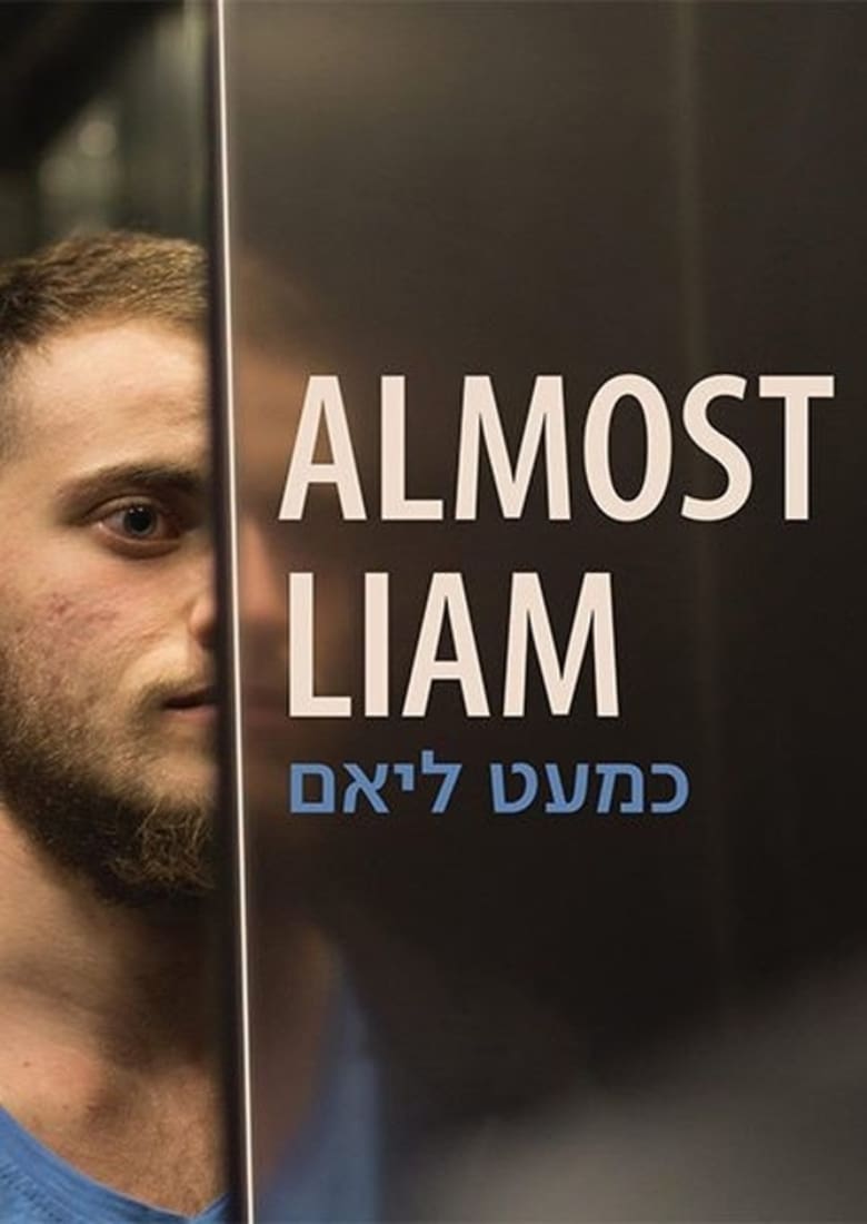 Poster of Almost Liam