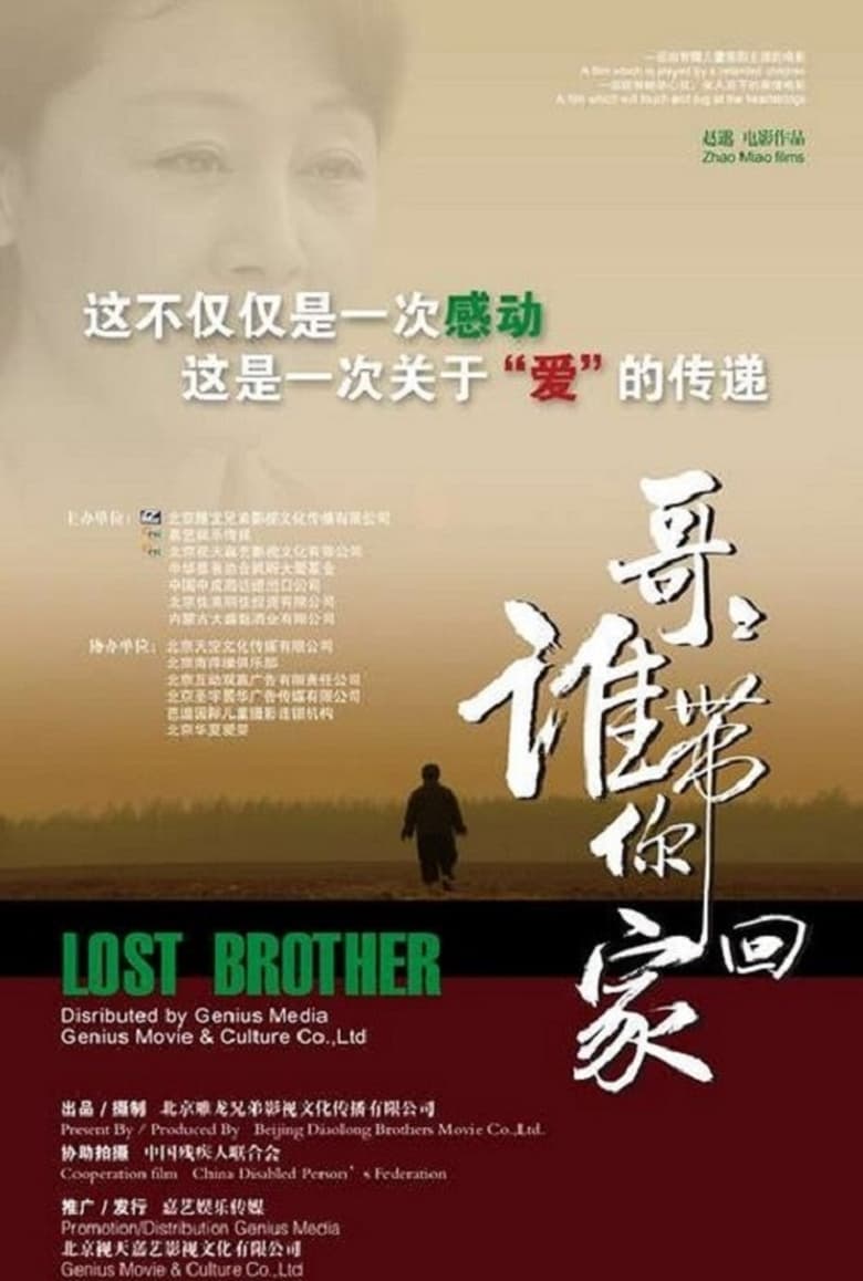 Poster of 哥哥，谁带你回家