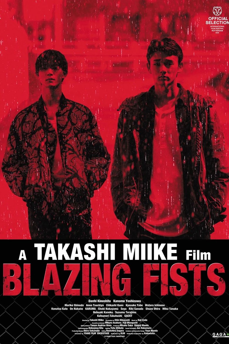 Poster of Blazing Fists
