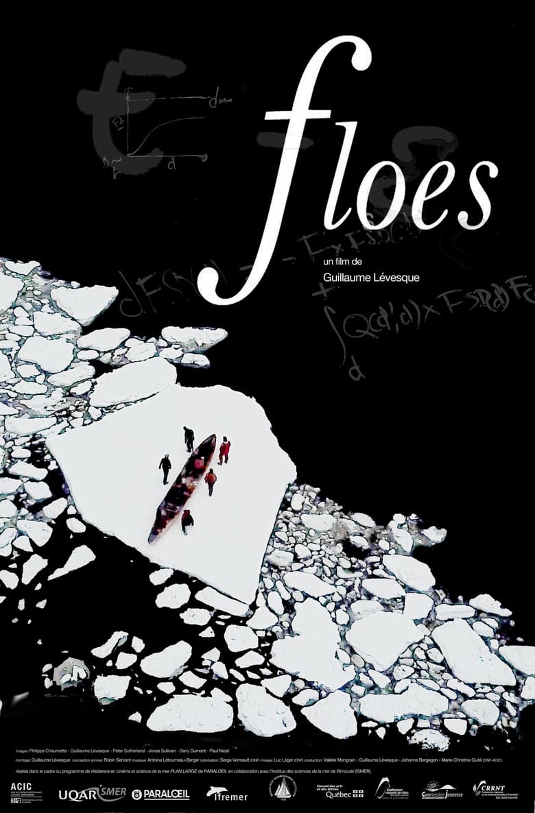 Poster of Floes