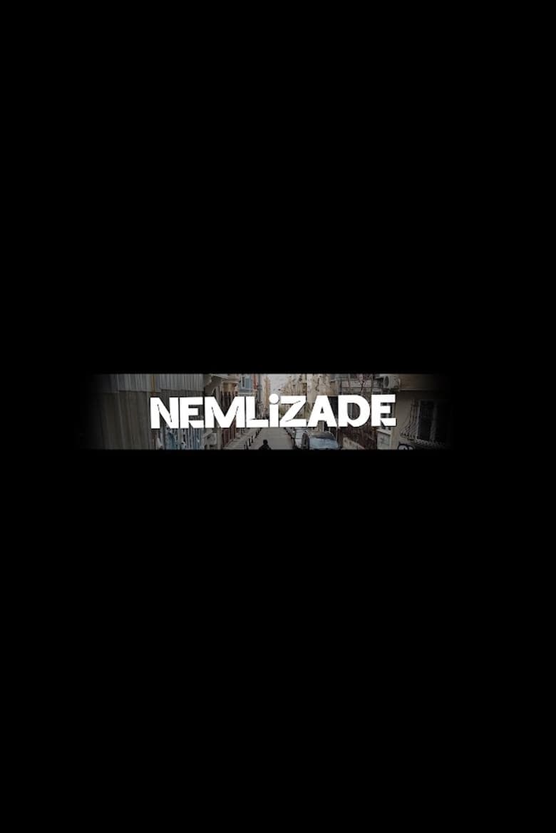 Poster of Episodes in Nemlizade - Season 1 - Season 1