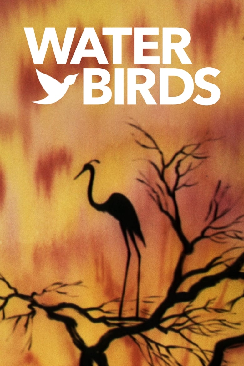 Poster of Water Birds