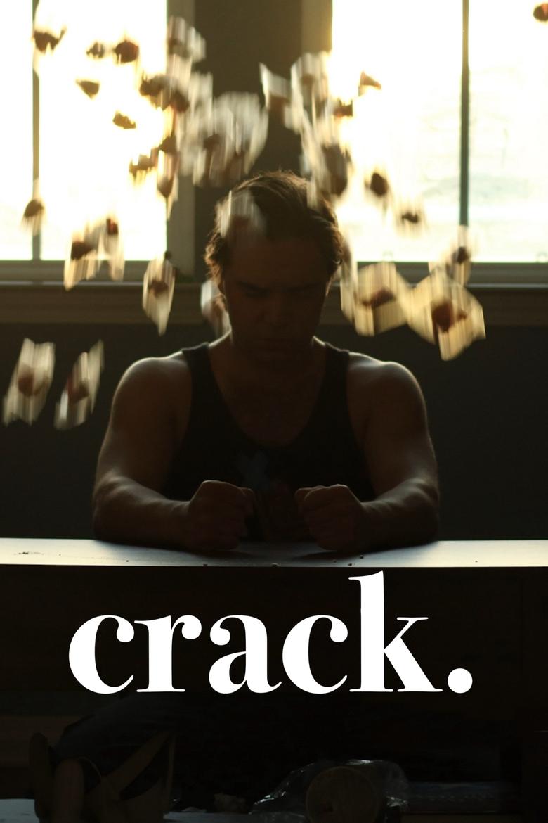 Poster of crack.