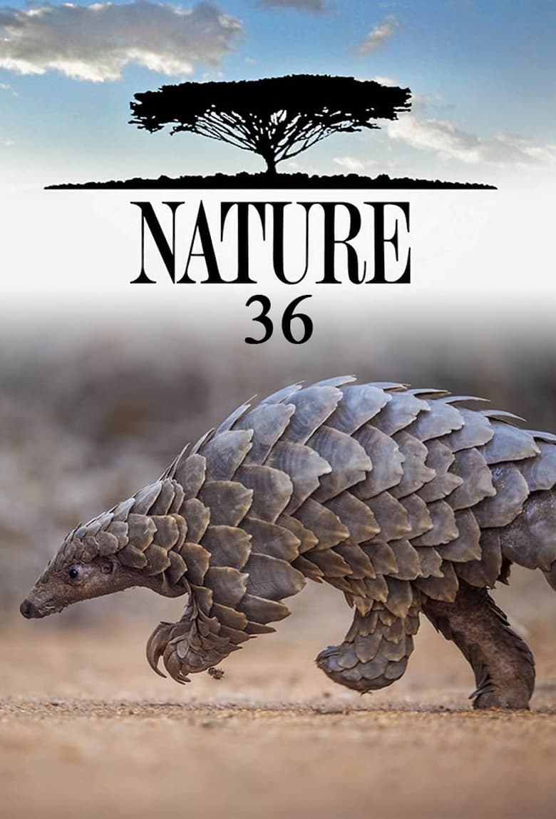 Poster of Episodes in Nature - Season 36 - Season 36