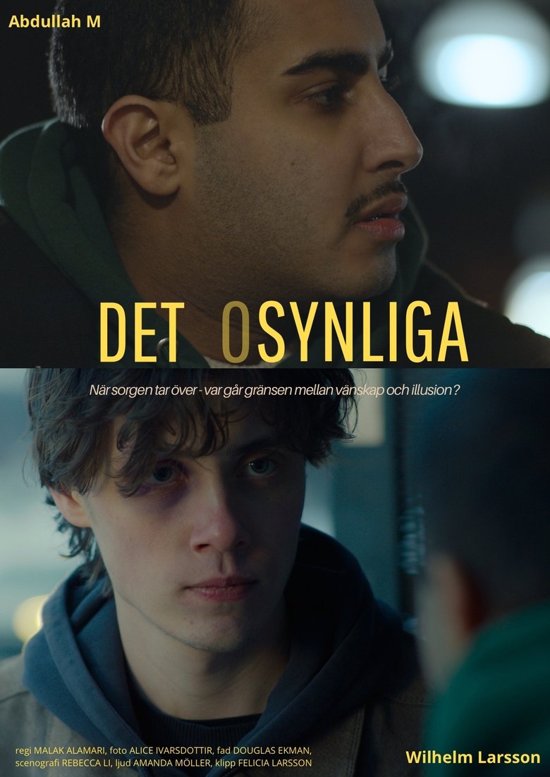 Poster of Det Osynliga