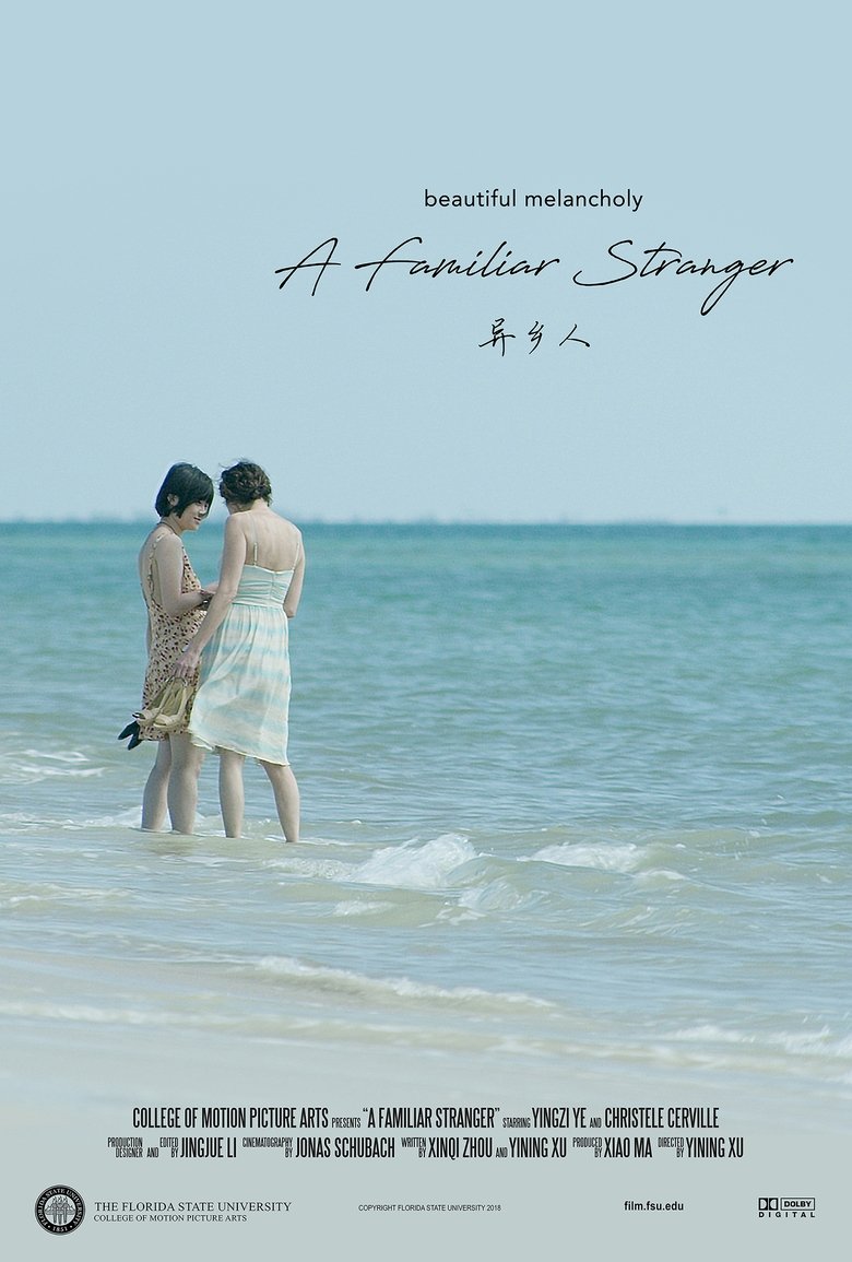 Poster of A Familiar Stranger