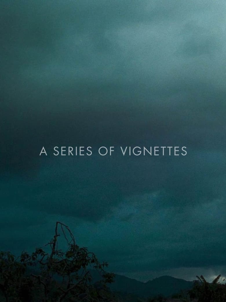 Poster of A Series of Vignettes