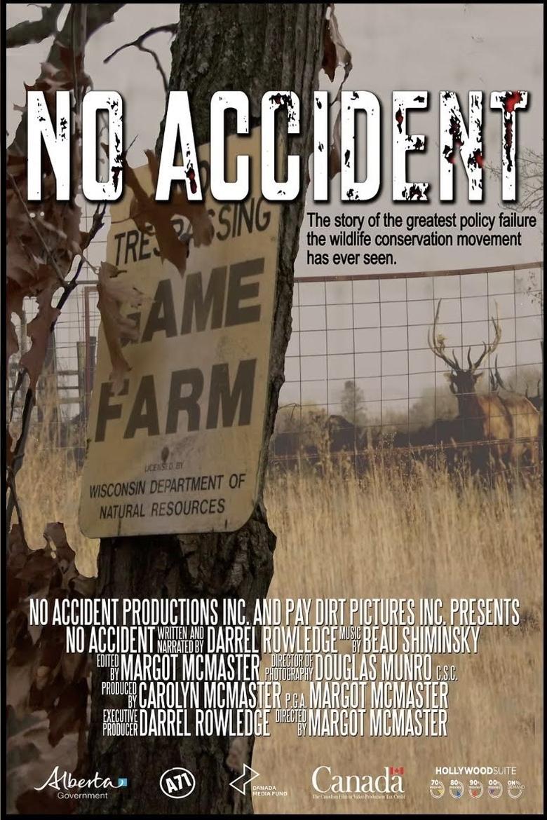 Poster of No Accident