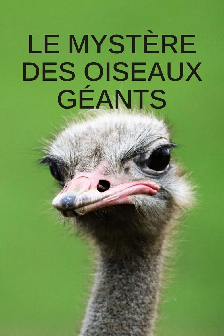 Poster of Le mystère des oiseaux géants