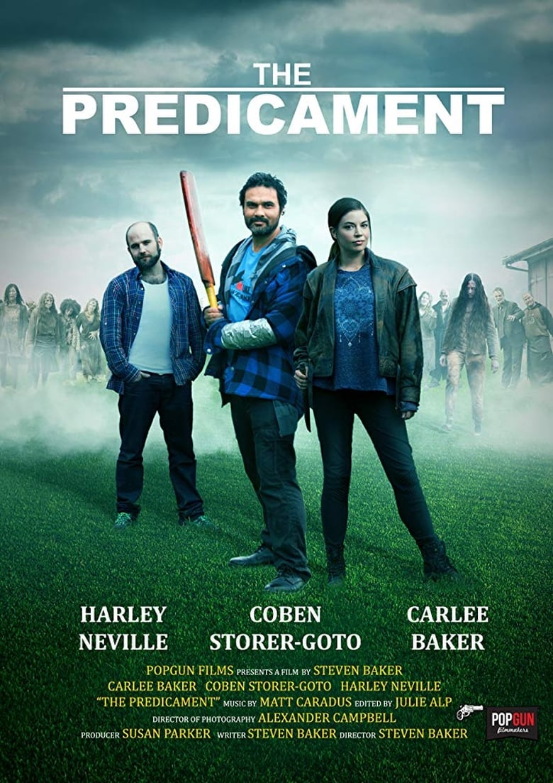 Poster of The Predicament