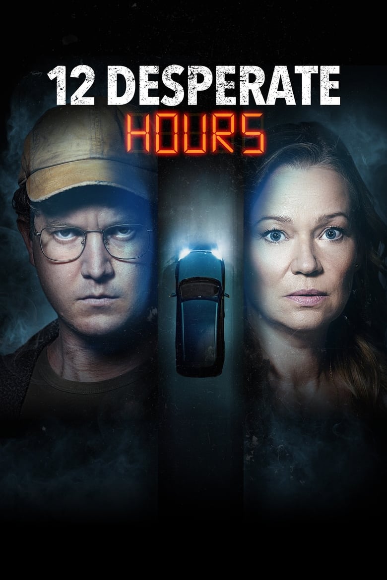 Poster of 12 Desperate Hours