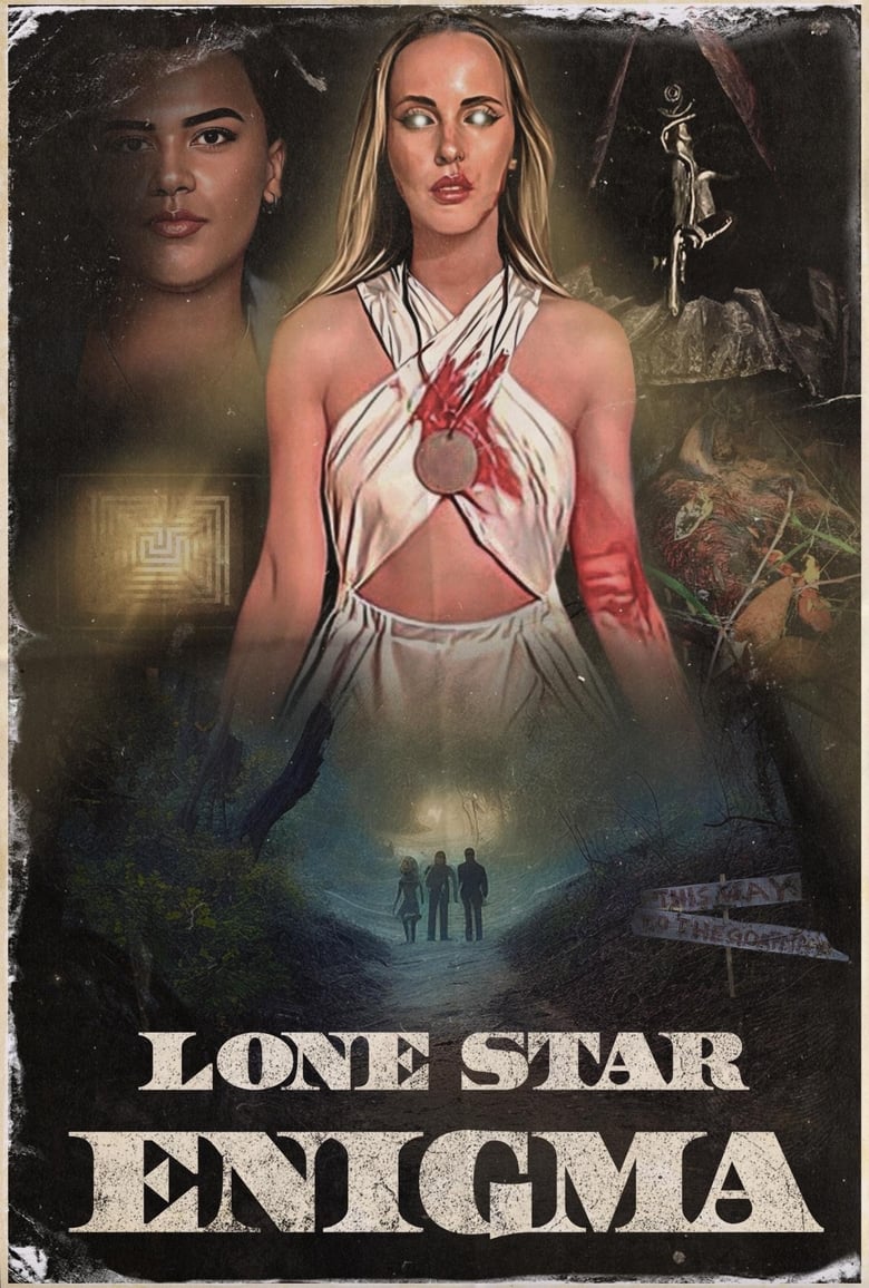 Poster of Lone Star Enigma