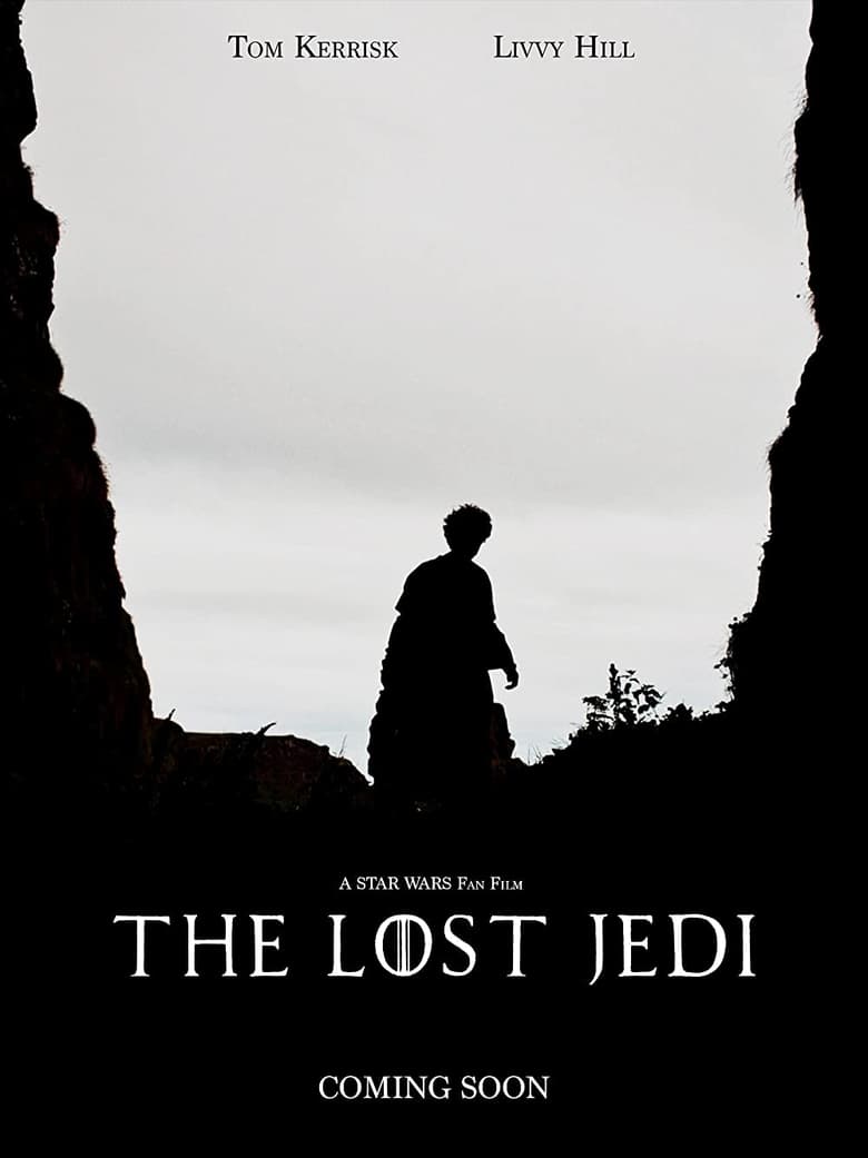 Poster of The Lost Jedi