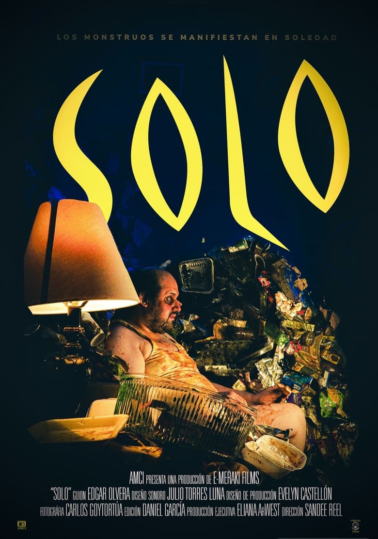 Poster of Solo