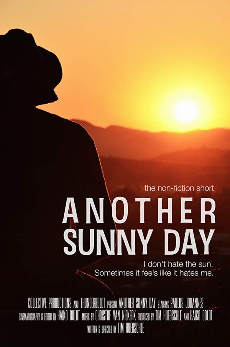 Poster of Another Sunny Day