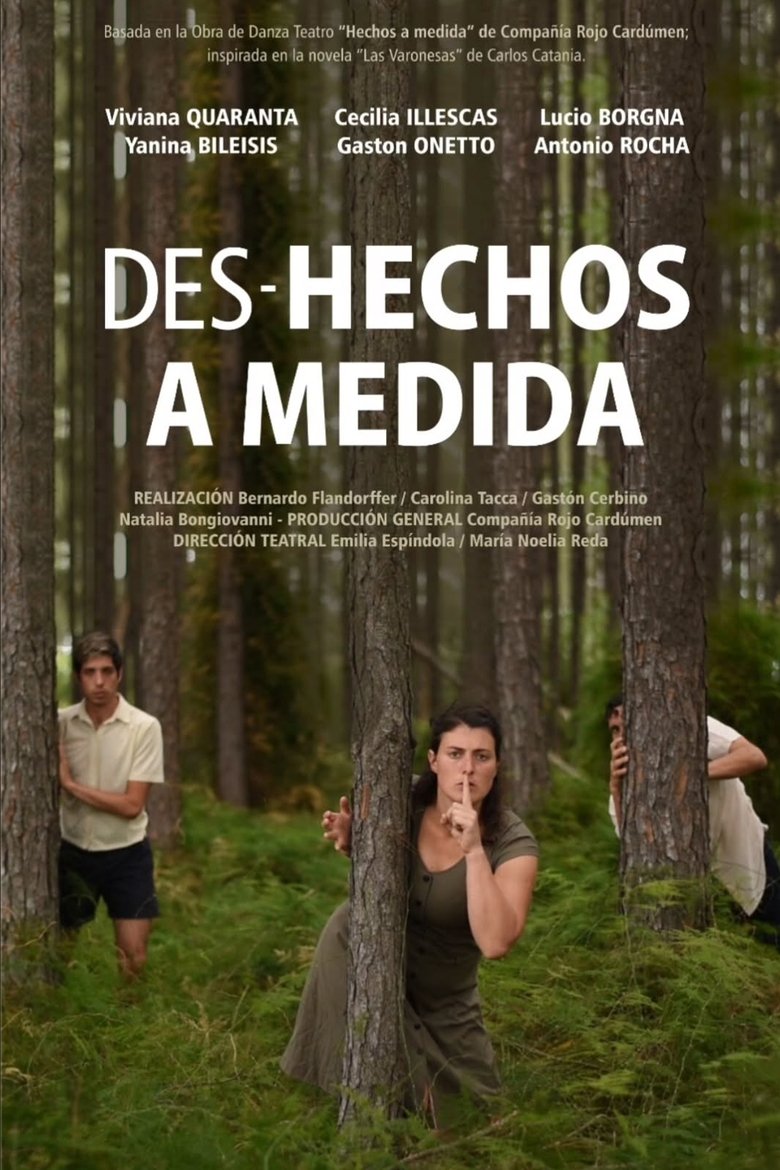 Poster of Des-hechos a medida