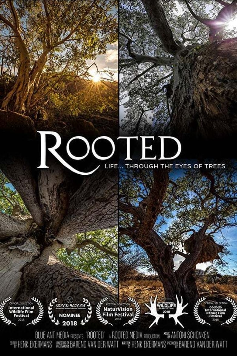 Poster of Episodes in Rooted - Season 1 - Season 1