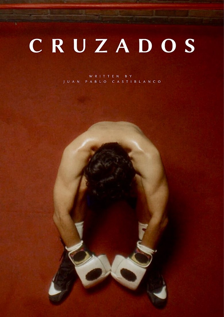 Poster of Cruzados
