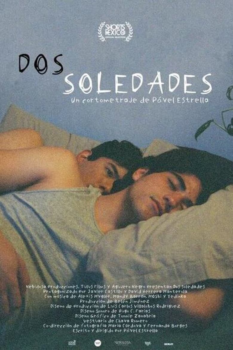 Poster of Dos soledades