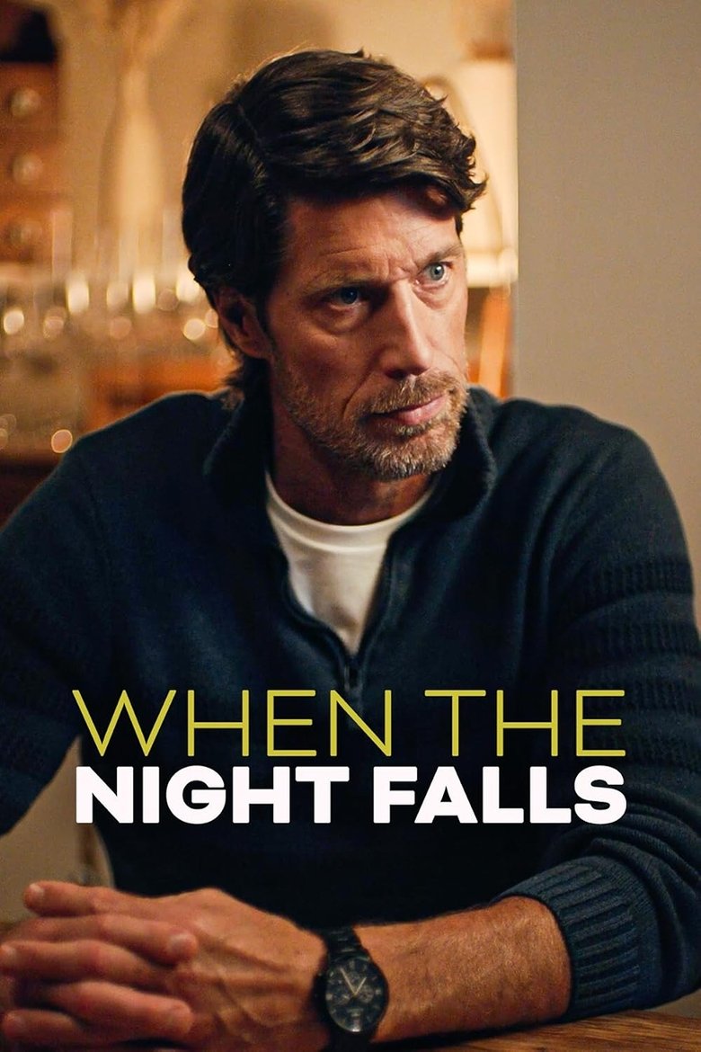 Poster of When the Night Falls