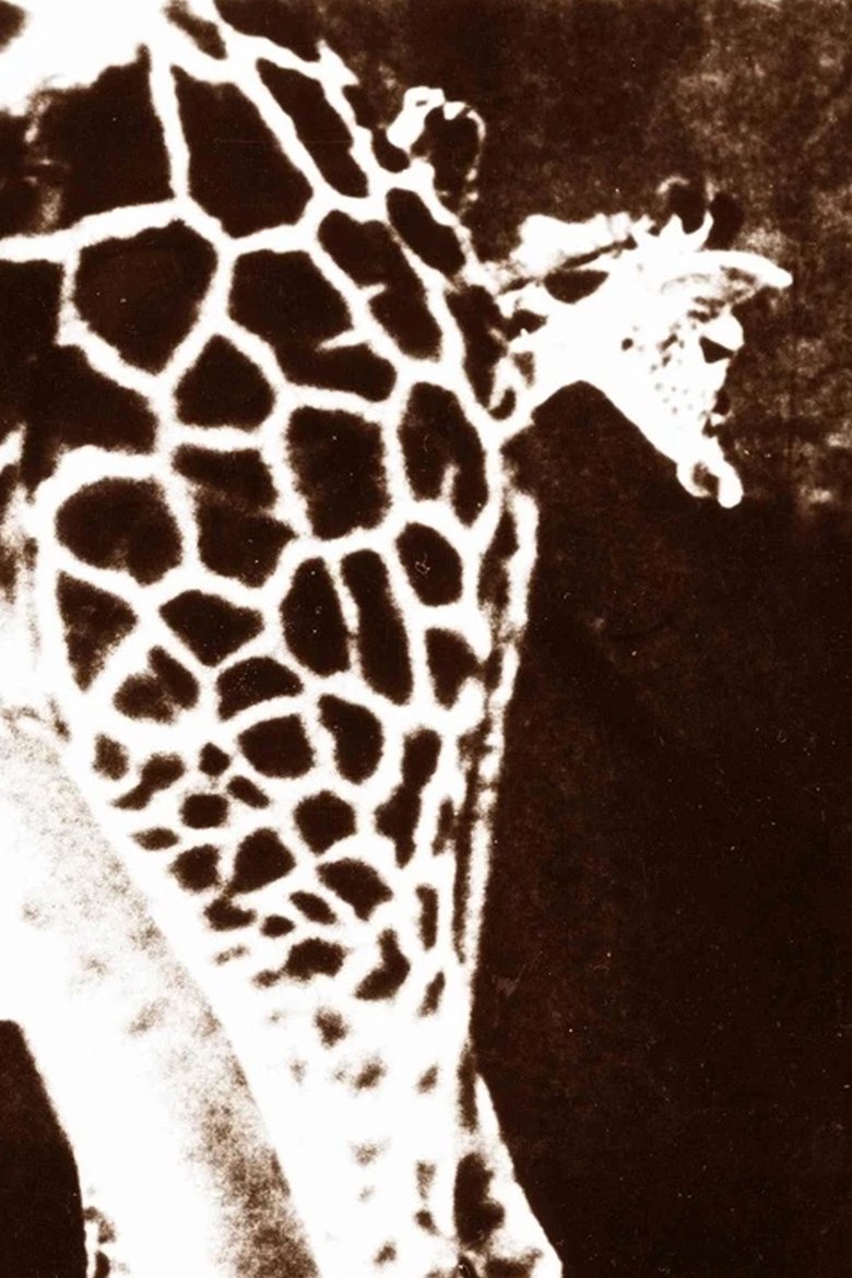 Poster of 8½ x 11