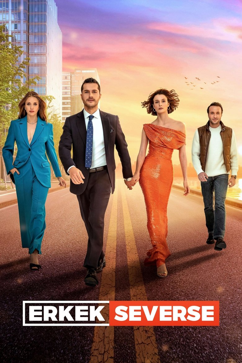 Poster of Erkek Severse