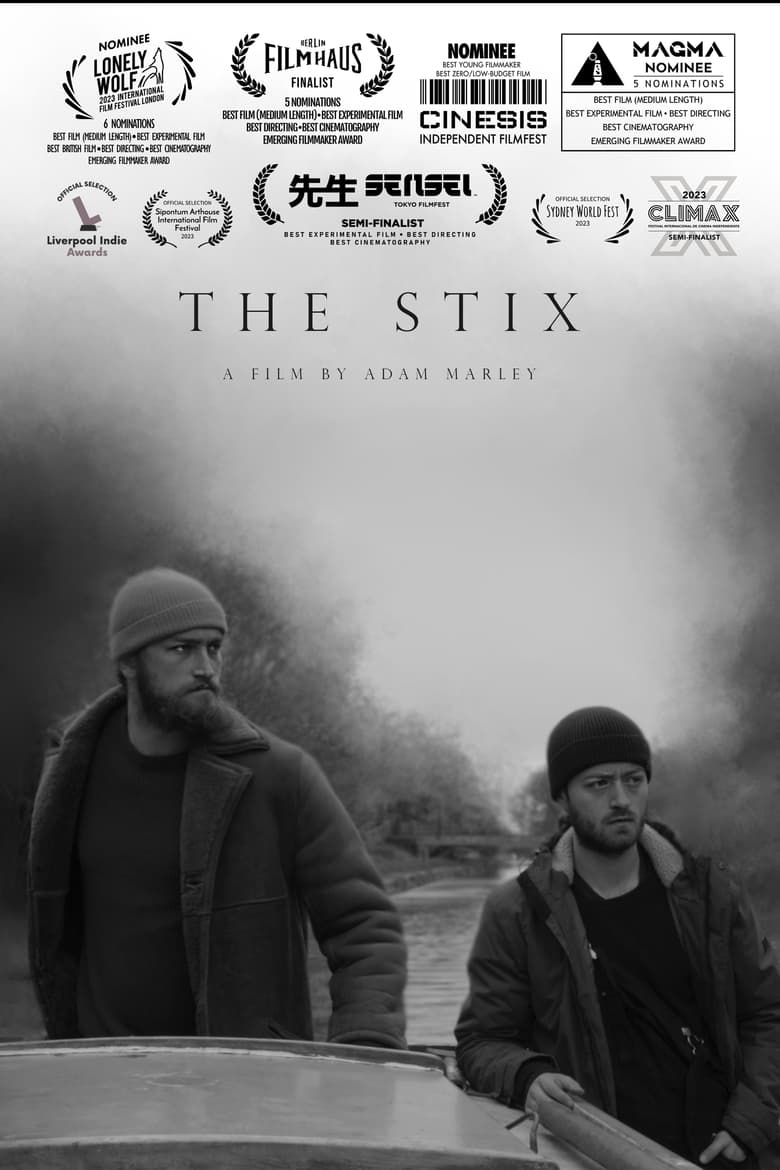 Poster of The Stix