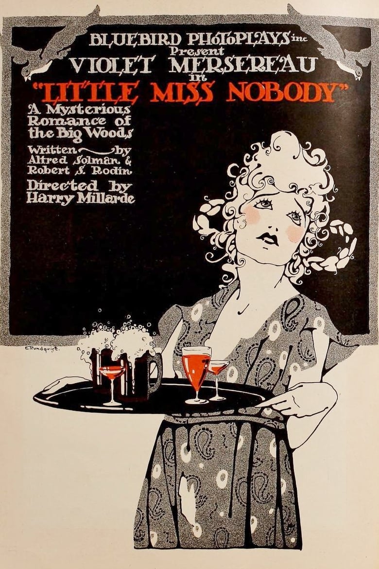 Poster of Little Miss Nobody