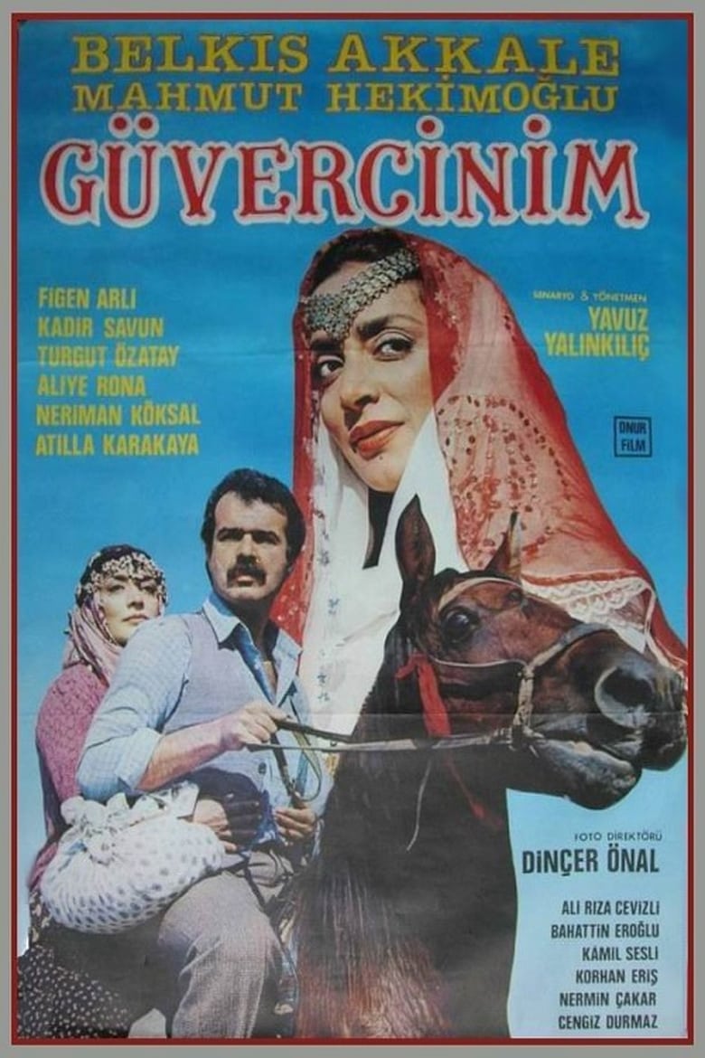 Poster of Güvercinim