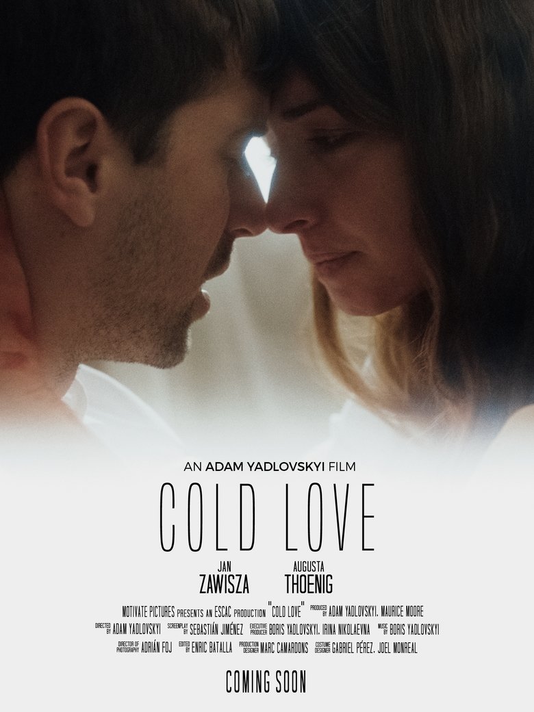 Poster of Cold Love