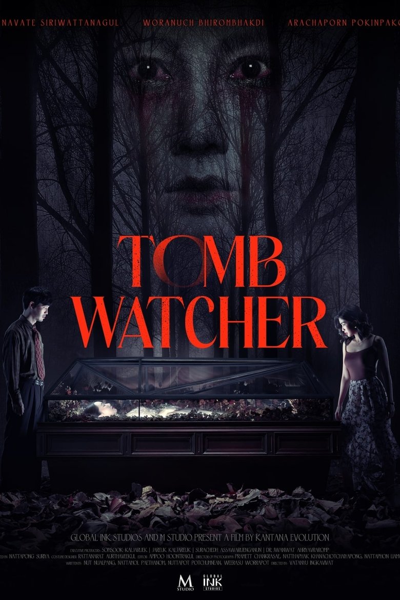 Poster of Tomb Watcher