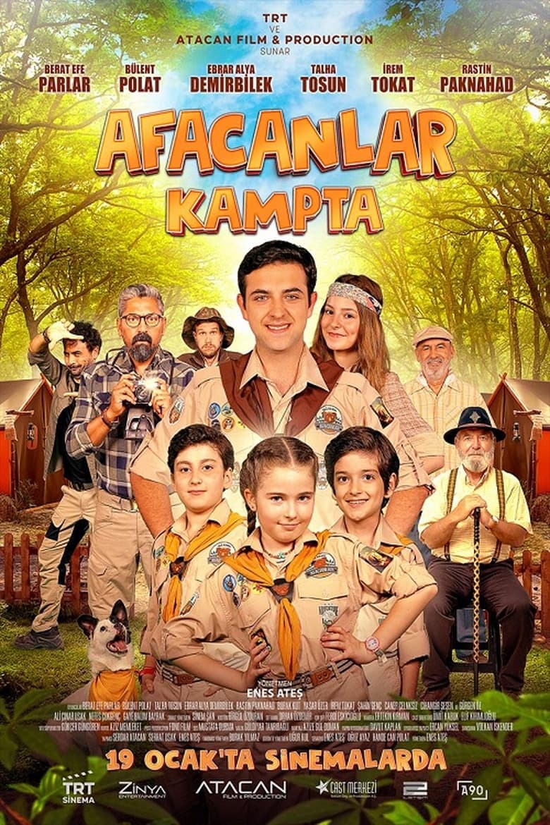 Poster of Afacanlar Kampta