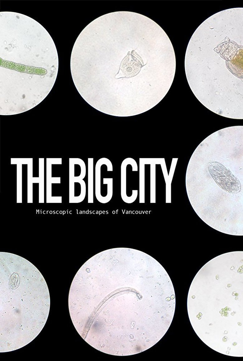 Poster of The Big City