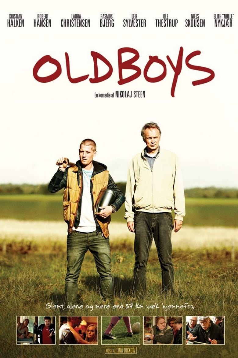 Poster of Oldboys