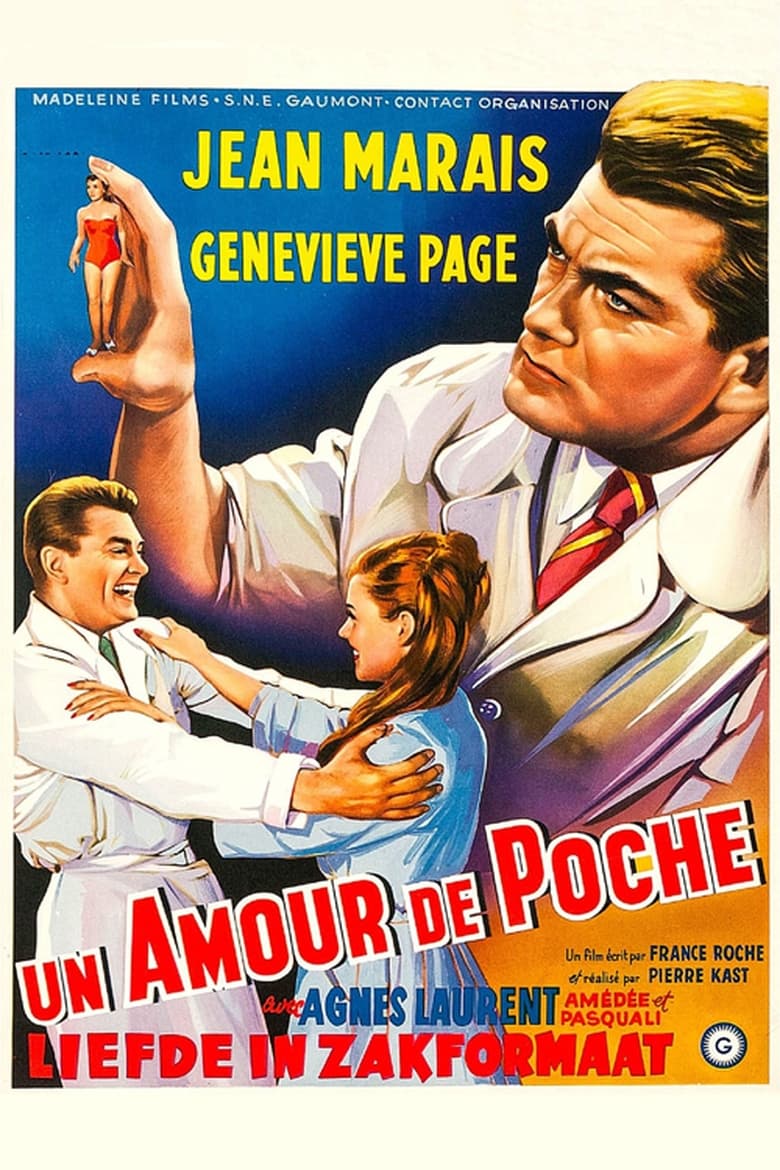 Poster of A Girl in a Pocket