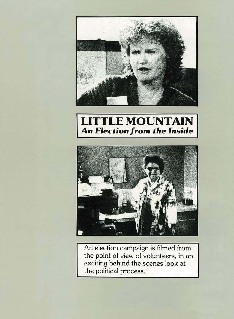 Poster of Little Mountain: An Election from the Inside