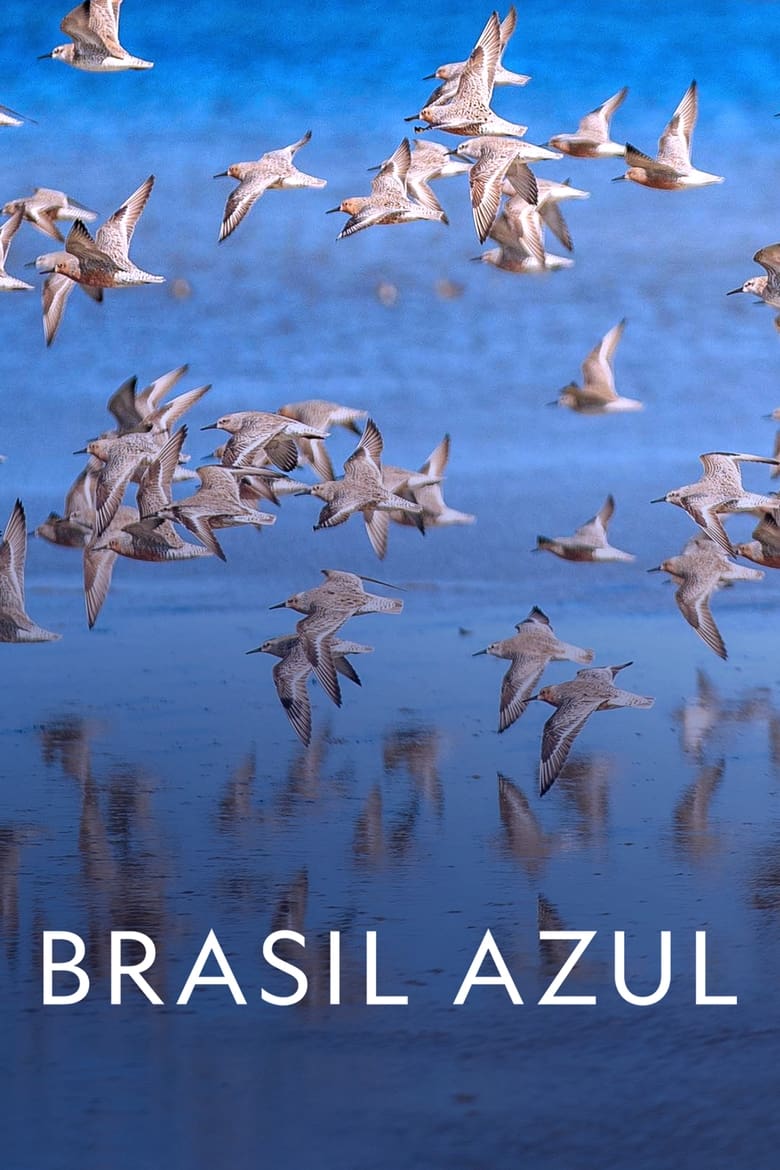 Poster of Blue Brazil