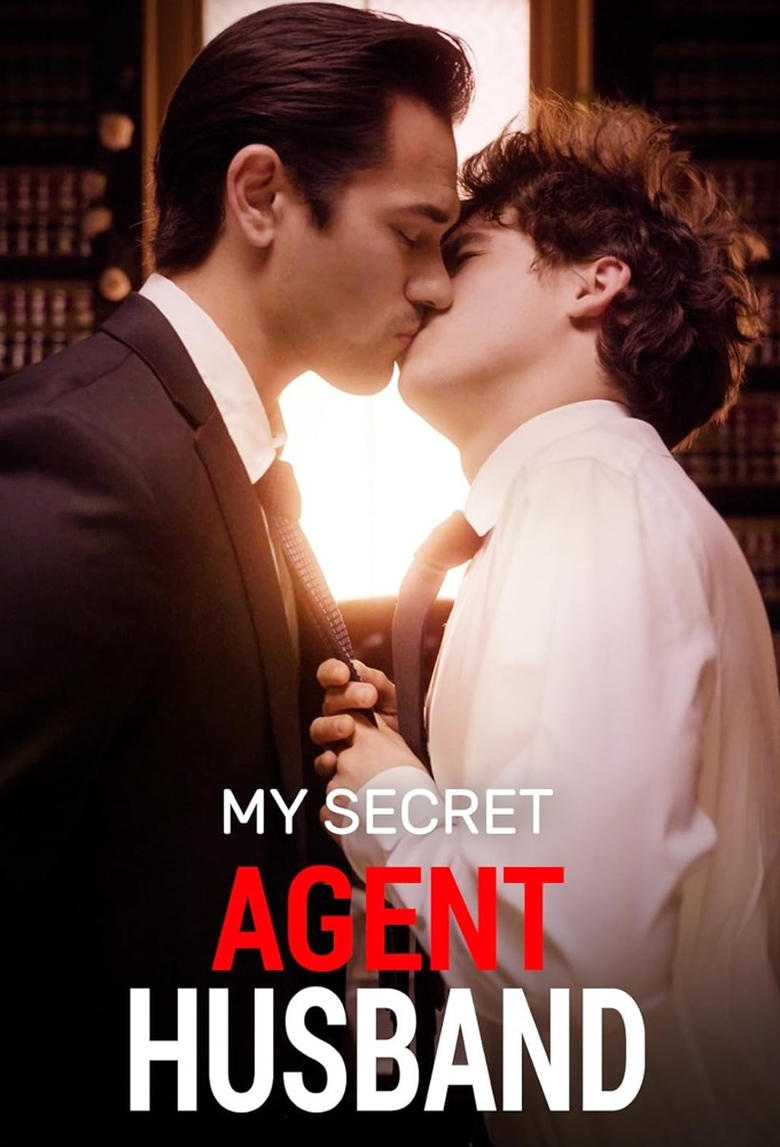 Poster of My Secret Agent Husband