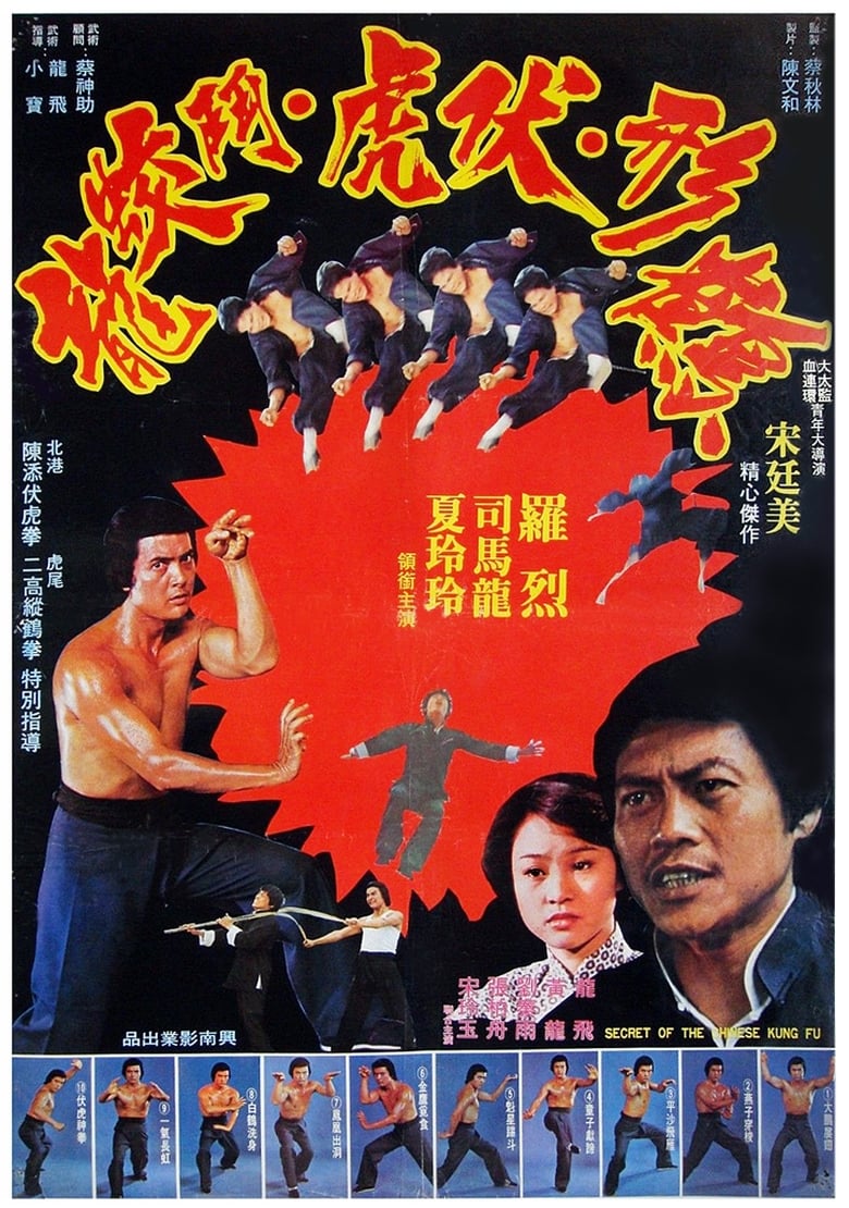 Poster of Secret of Chinese Kung Fu