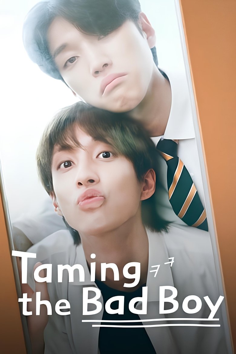 Poster of Taming the Bad Boy