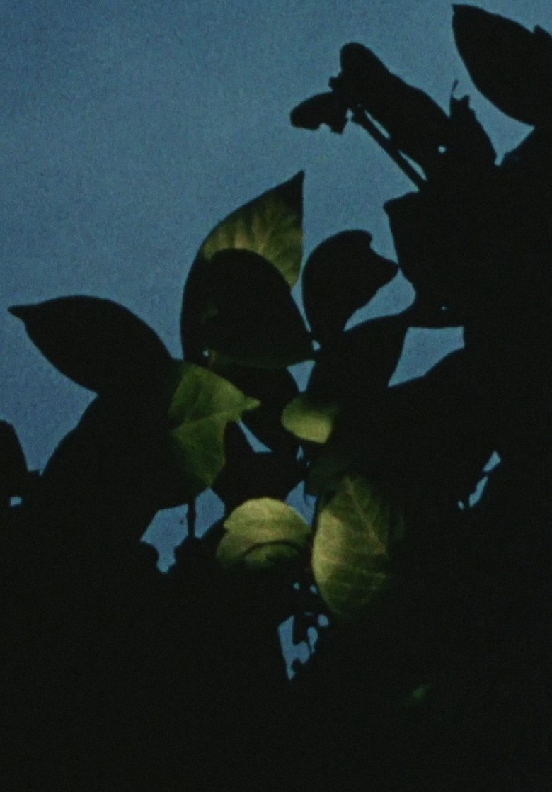 Poster of Earth Stone