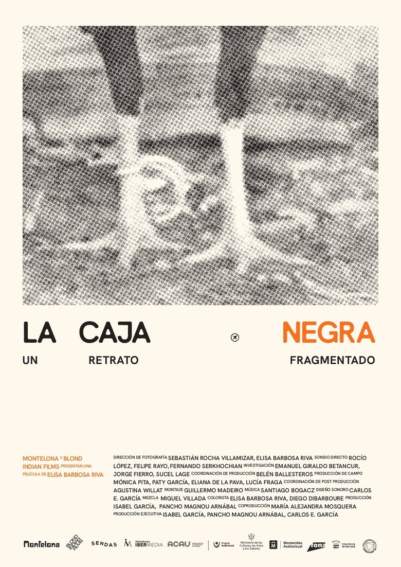 Poster of La caja negra