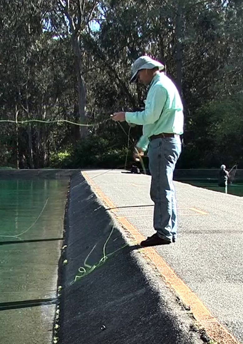 Poster of Fly Line