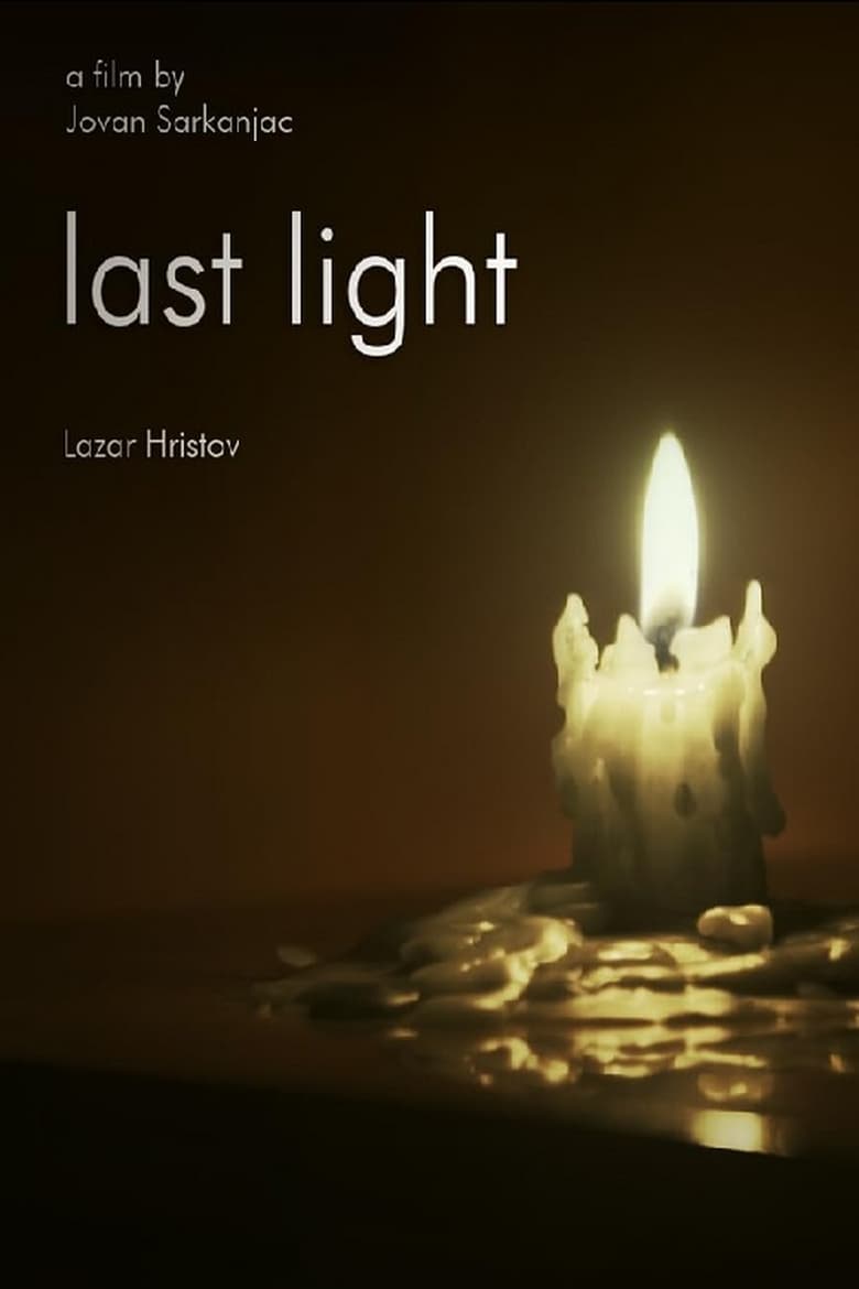 Poster of Last Light