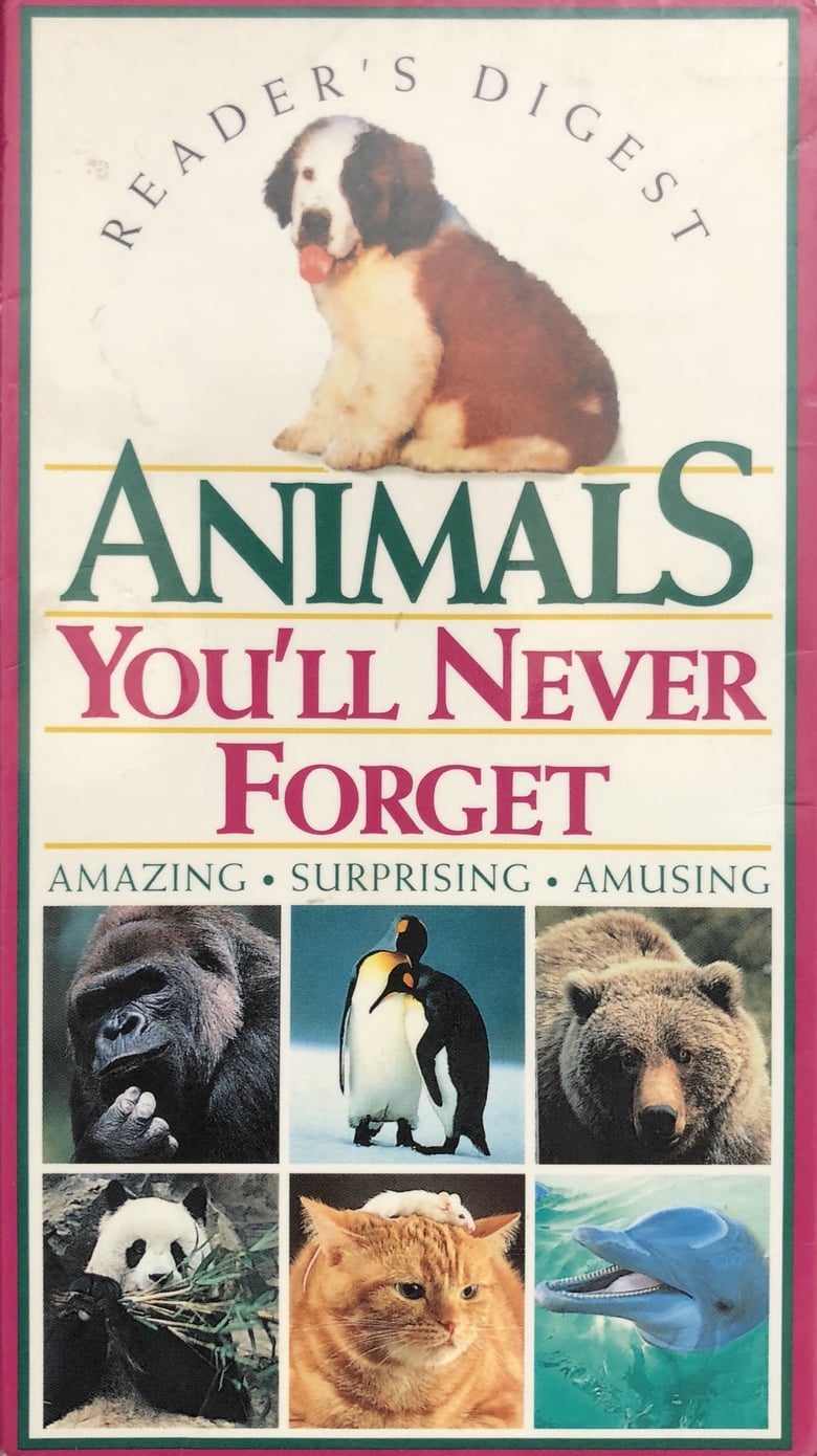 Poster of Animals You'll Never Forget