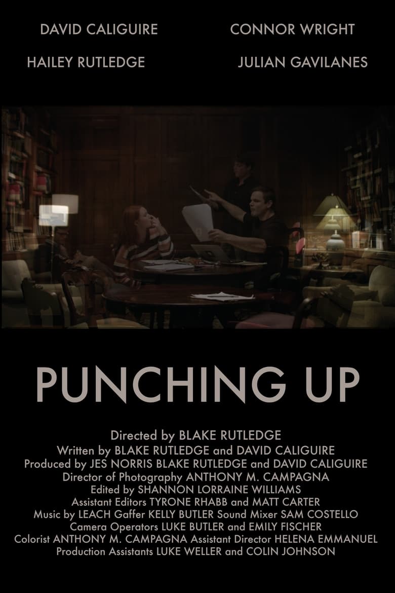 Poster of Punching Up