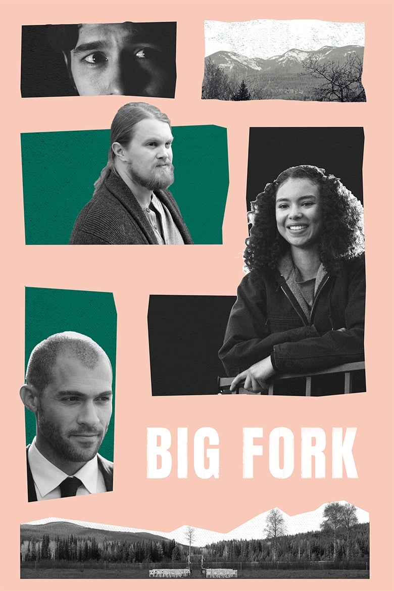 Poster of Big Fork