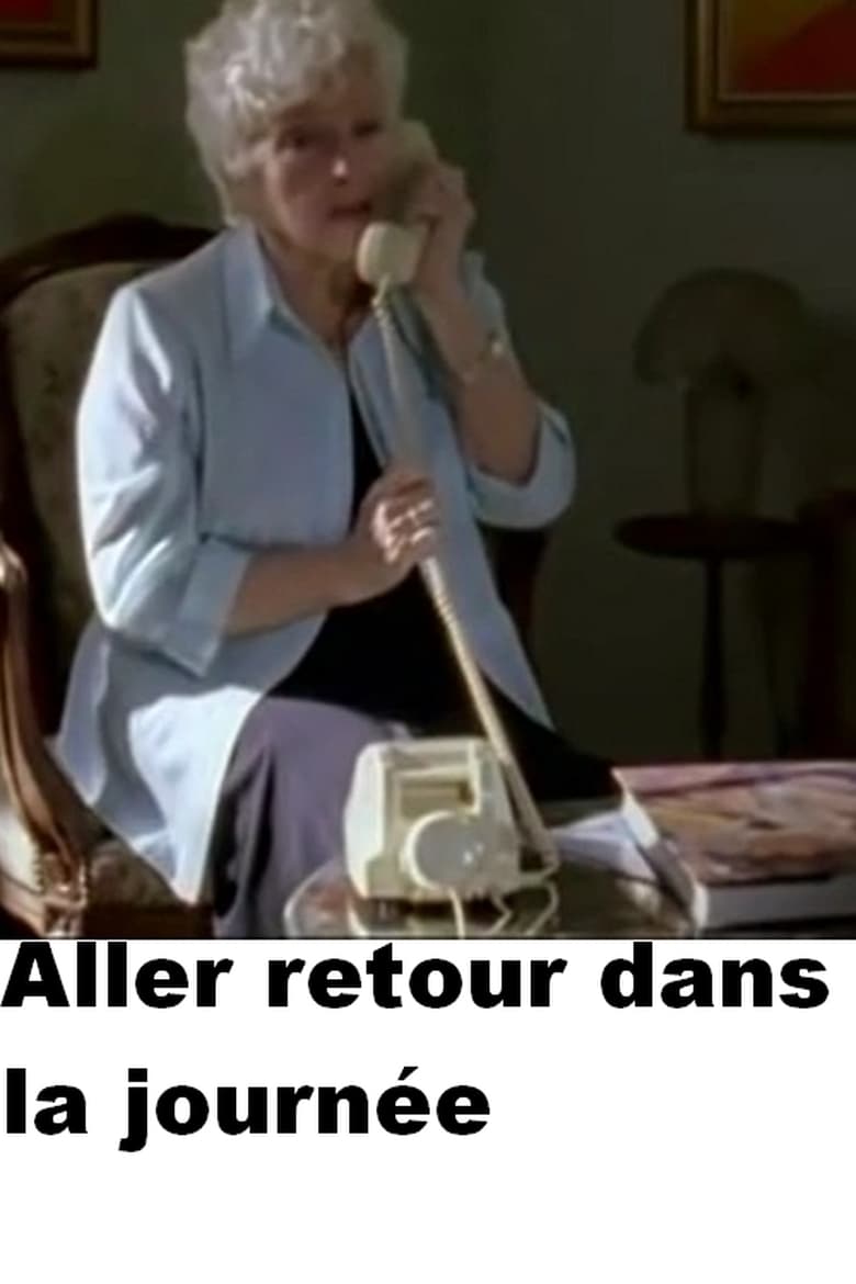 Poster of Aller retour dans la journée