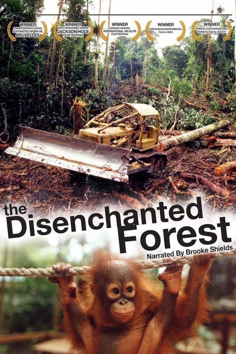 Poster of Disenchanted Forest