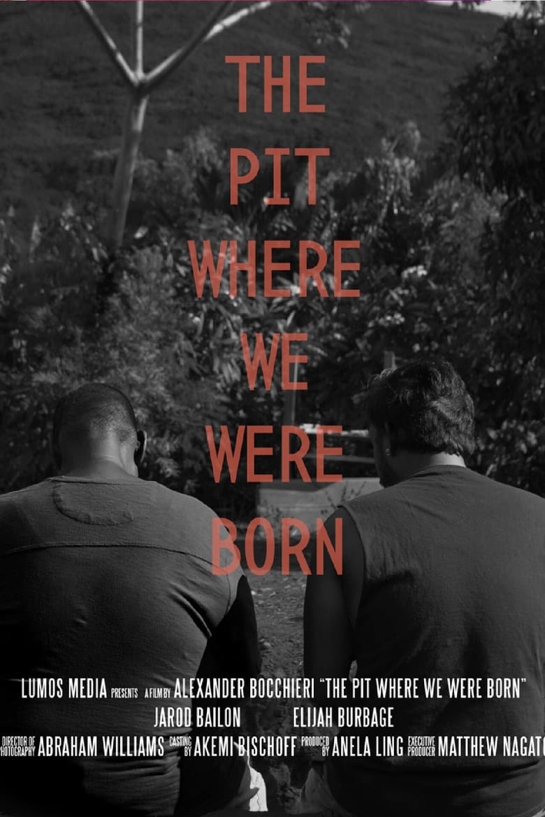 Poster of The Pit Where We Were Born